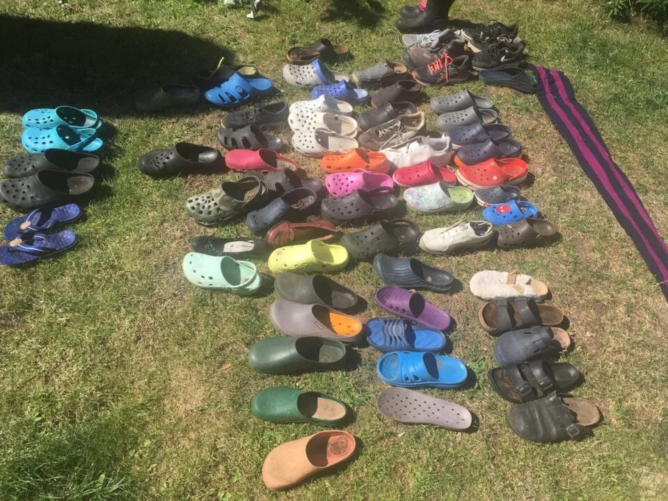 Große Sammlung gefundener Schuhe auf einer Wiese